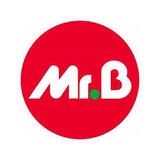 Mr Bricolage