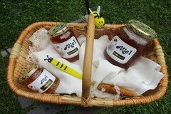 Le Rucher de La Panetterie