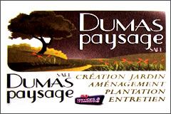 Dumas Paysage